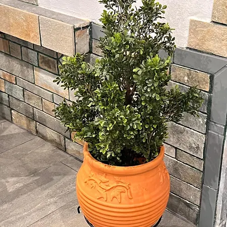 بيت للعطل Bright-living *